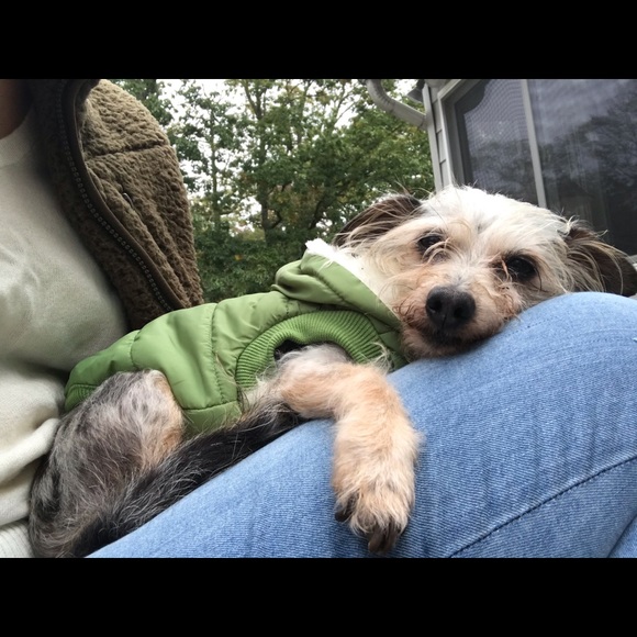 New Kid in Town - Picture 12 of 15